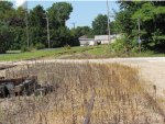 Blandinsville Il. Grain Elevator looking East down KJR main Line